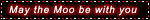 bmooforce.gif